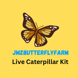 Live Caterpillar Kits
