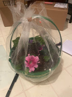 Butterfly Basket