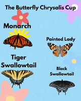 Butterfly Chrysalis Cup