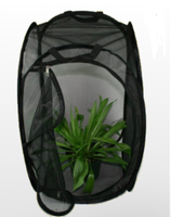 Medium Black Habitat